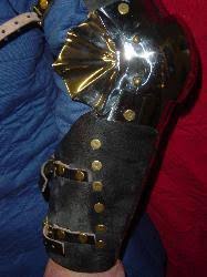 Stainless Steel Fluted Gothic (Dragon Wing Fan) Arms